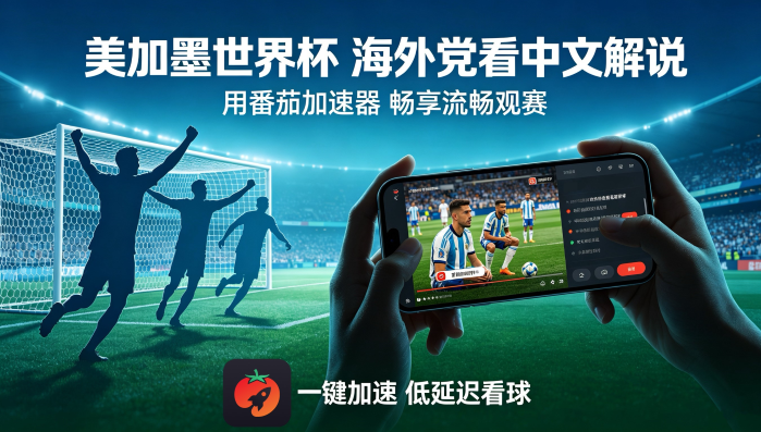 在新加坡看央视频世界杯海外无法观看教程
